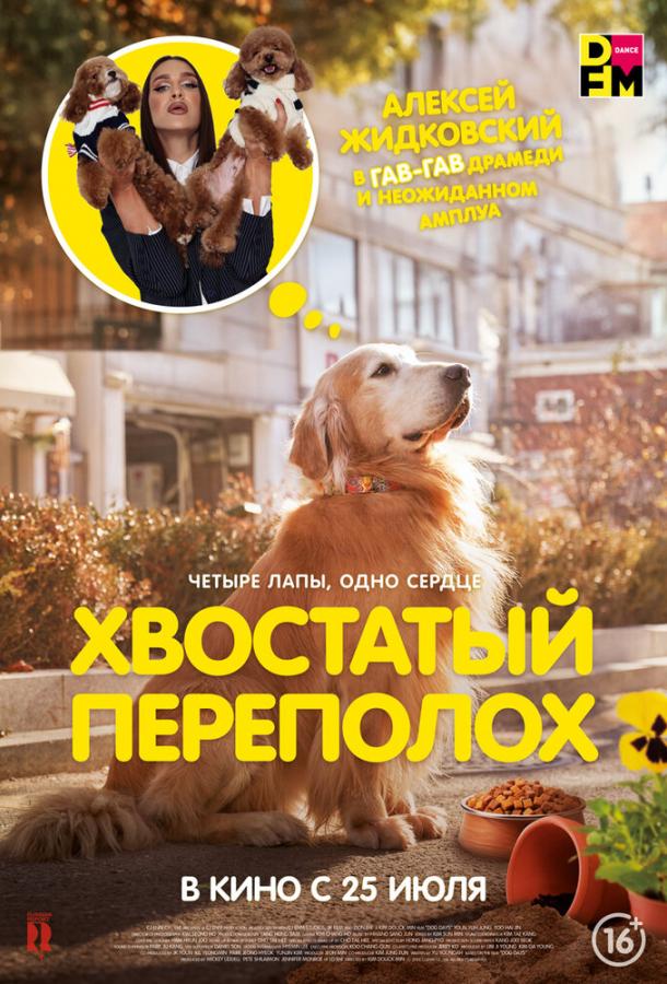Фильм Хвостатый переполох 2024 смотреть онлайн бесплатно